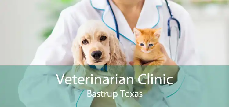 Veterinarian Clinic Bastrup Texas