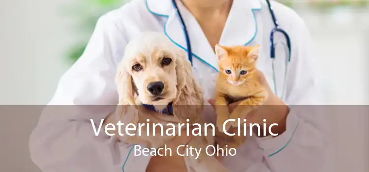Veterinarian Clinic Beach City Ohio