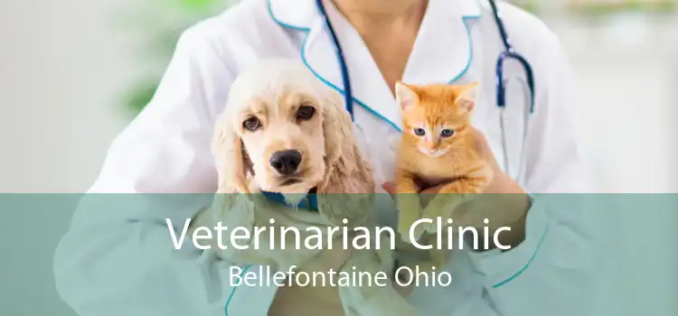 Veterinarian Clinic Bellefontaine Ohio