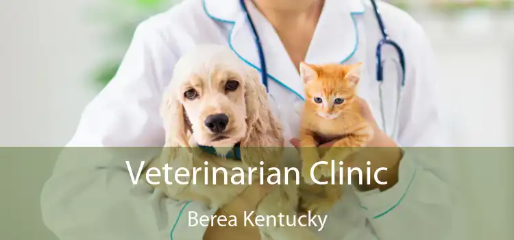 Veterinarian Clinic Berea Kentucky