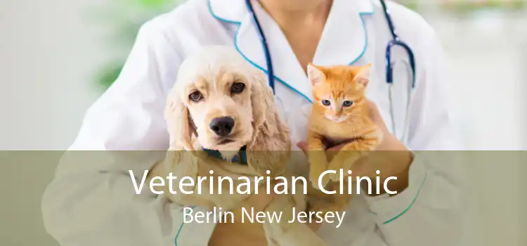 Veterinarian Clinic Berlin New Jersey