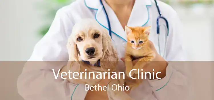 Veterinarian Clinic Bethel Ohio