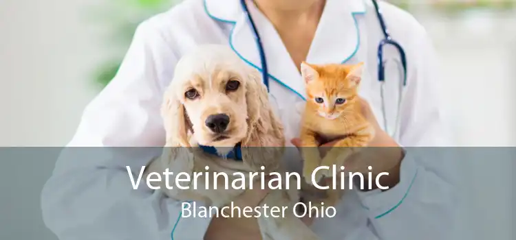 Veterinarian Clinic Blanchester Ohio