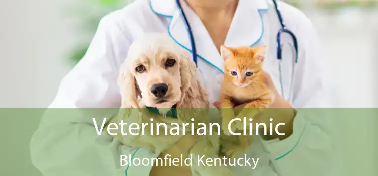 Veterinarian Clinic Bloomfield Kentucky