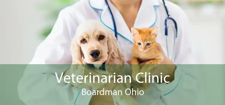 Veterinarian Clinic Boardman Ohio