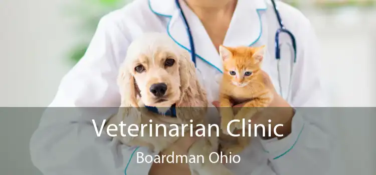 Veterinarian Clinic Boardman Ohio