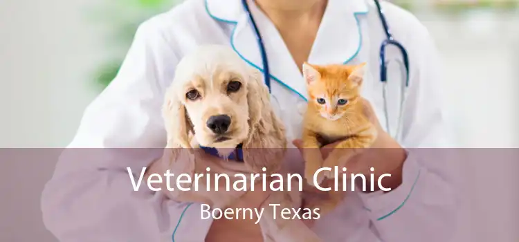 Veterinarian Clinic Boerny Texas