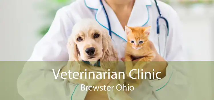 Veterinarian Clinic Brewster Ohio