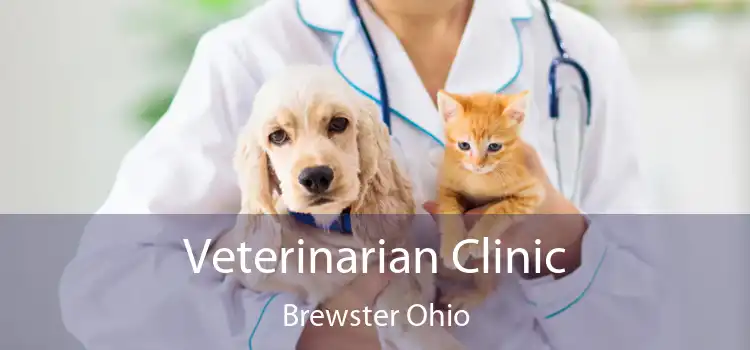 Veterinarian Clinic Brewster Ohio