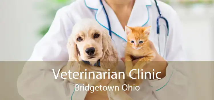 Veterinarian Clinic Bridgetown Ohio
