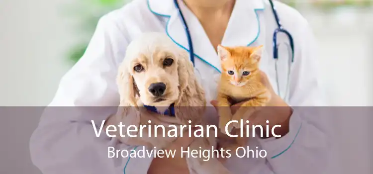 Veterinarian Clinic Broadview Heights Ohio