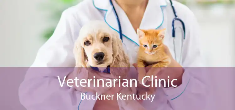 Veterinarian Clinic Buckner Kentucky