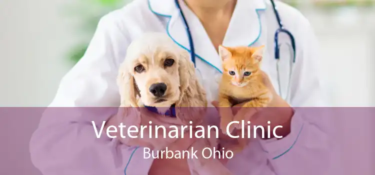 Veterinarian Clinic Burbank Ohio