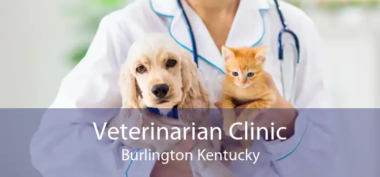 Veterinarian Clinic Burlington Kentucky
