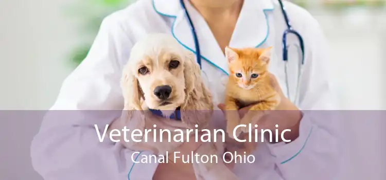 Veterinarian Clinic Canal Fulton Ohio