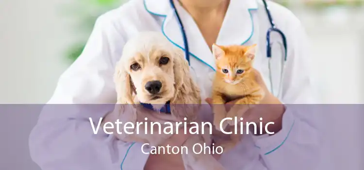 Veterinarian Clinic Canton Ohio