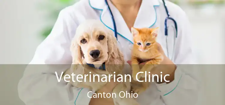 Veterinarian Clinic Canton Ohio