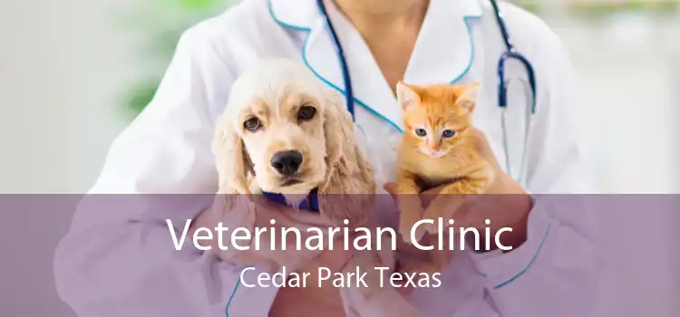 Veterinarian Clinic Cedar Park Texas