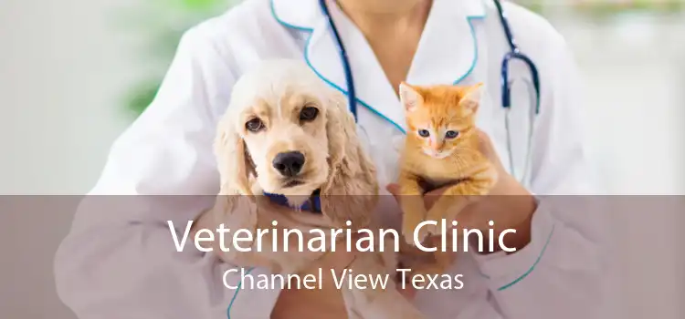 Veterinarian Clinic Channel View Texas