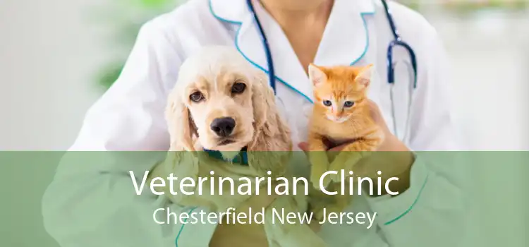 Veterinarian Clinic Chesterfield New Jersey