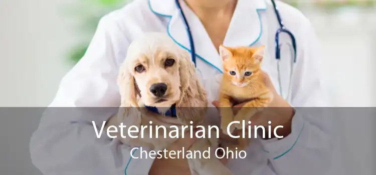 Veterinarian Clinic Chesterland Ohio