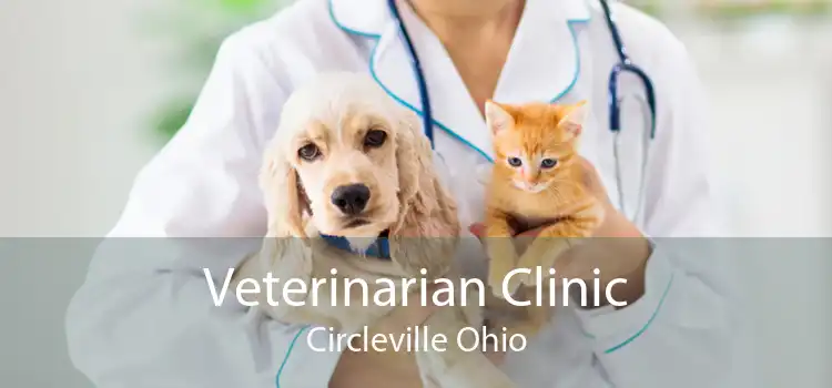 Veterinarian Clinic Circleville Ohio