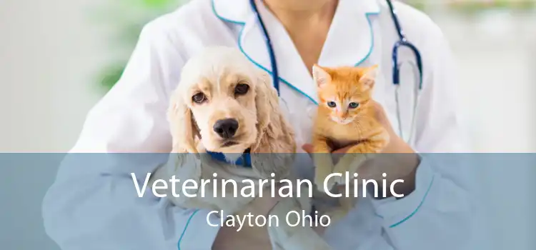 Veterinarian Clinic Clayton Ohio