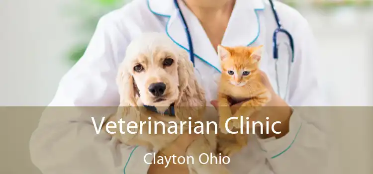 Veterinarian Clinic Clayton Ohio