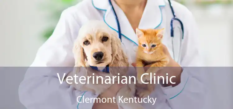 Veterinarian Clinic Clermont Kentucky