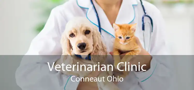 Veterinarian Clinic Conneaut Ohio