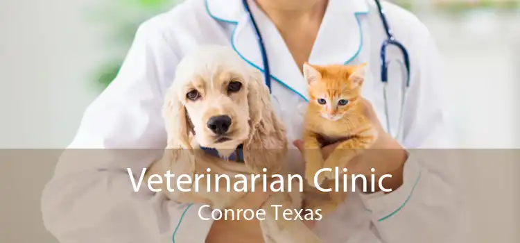 Veterinarian Clinic Conroe Texas