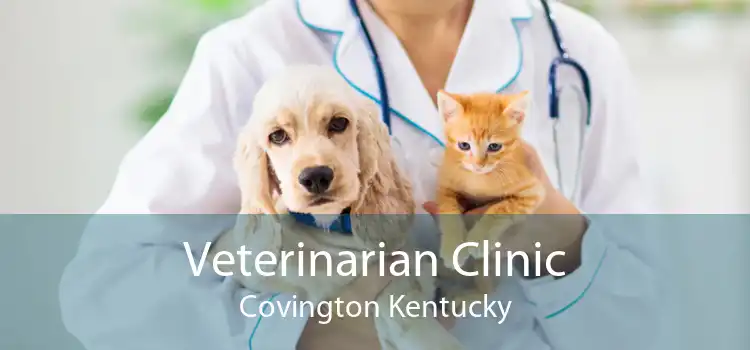 Veterinarian Clinic Covington Kentucky