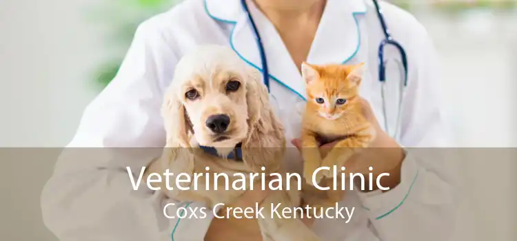 Veterinarian Clinic Coxs Creek Kentucky