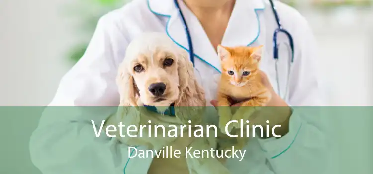 Veterinarian Clinic Danville Kentucky