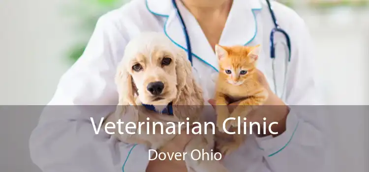 Veterinarian Clinic Dover Ohio