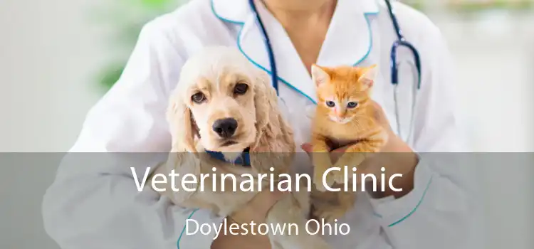 Veterinarian Clinic Doylestown Ohio