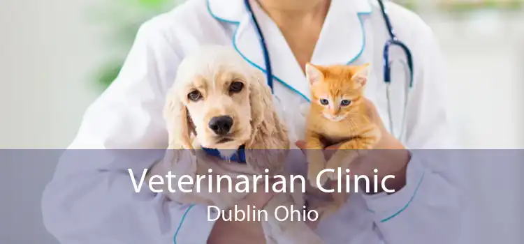 Veterinarian Clinic Dublin Ohio