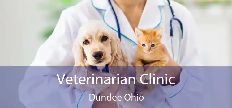 Veterinarian Clinic Dundee Ohio