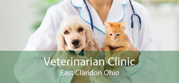 Veterinarian Clinic East Claridon Ohio