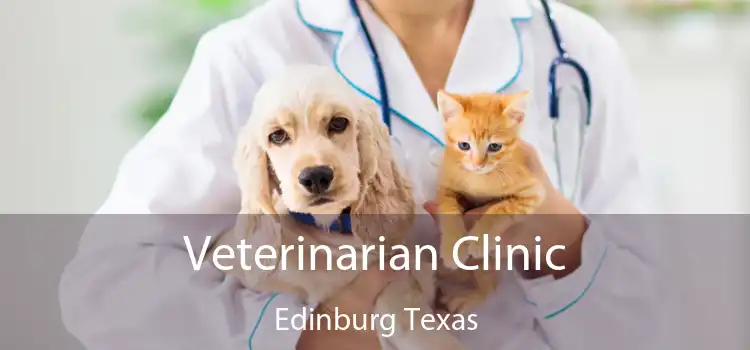 Veterinarian Clinic Edinburg Texas