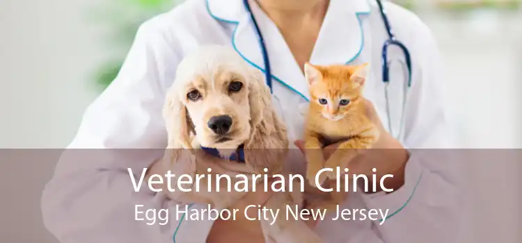 Veterinarian Clinic Egg Harbor City New Jersey