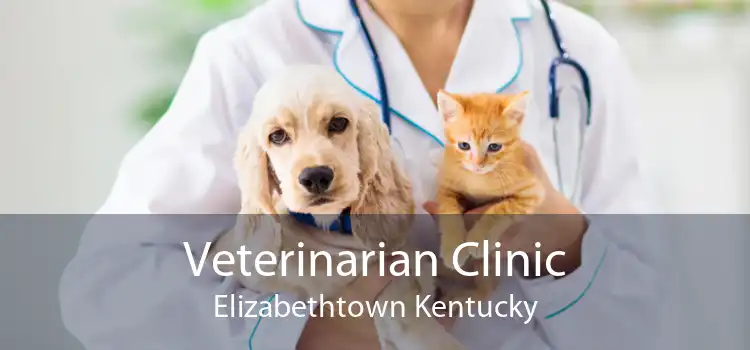 Veterinarian Clinic Elizabethtown Kentucky