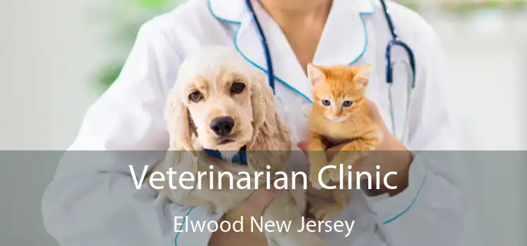 Veterinarian Clinic Elwood New Jersey