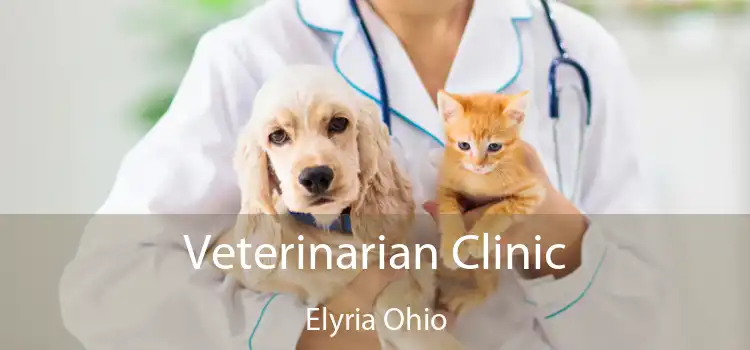 Veterinarian Clinic Elyria Ohio