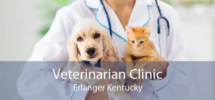 Veterinarian Clinic Erlanger Kentucky