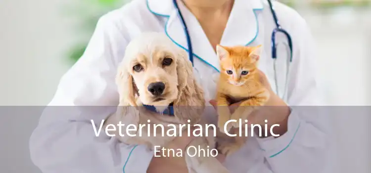 Veterinarian Clinic Etna Ohio
