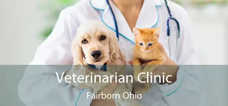 Veterinarian Clinic Fairborn Ohio