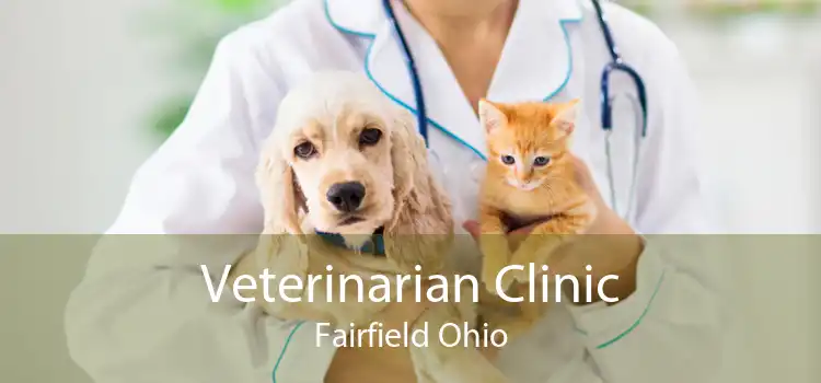 Veterinarian Clinic Fairfield Ohio