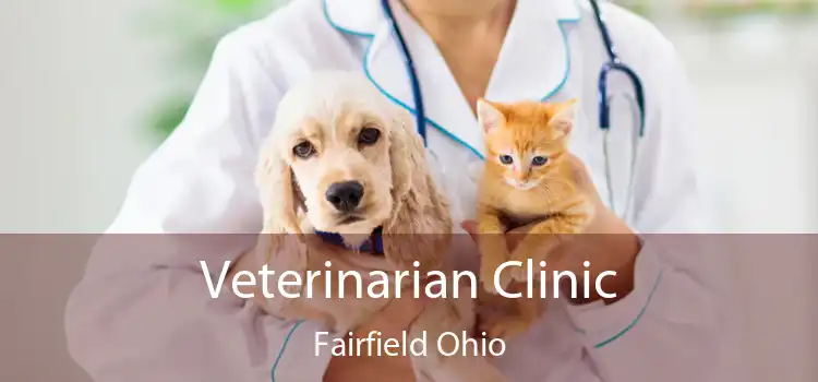 Veterinarian Clinic Fairfield Ohio