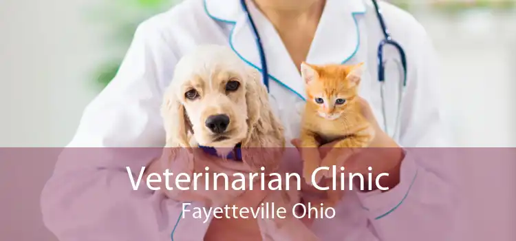 Veterinarian Clinic Fayetteville Ohio